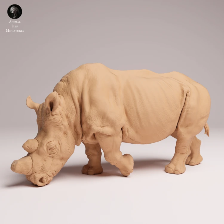 feeding-northern-white-rhino-3.png