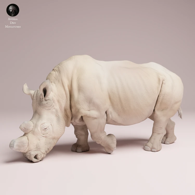 feeding-northern-white-rhino-4.png