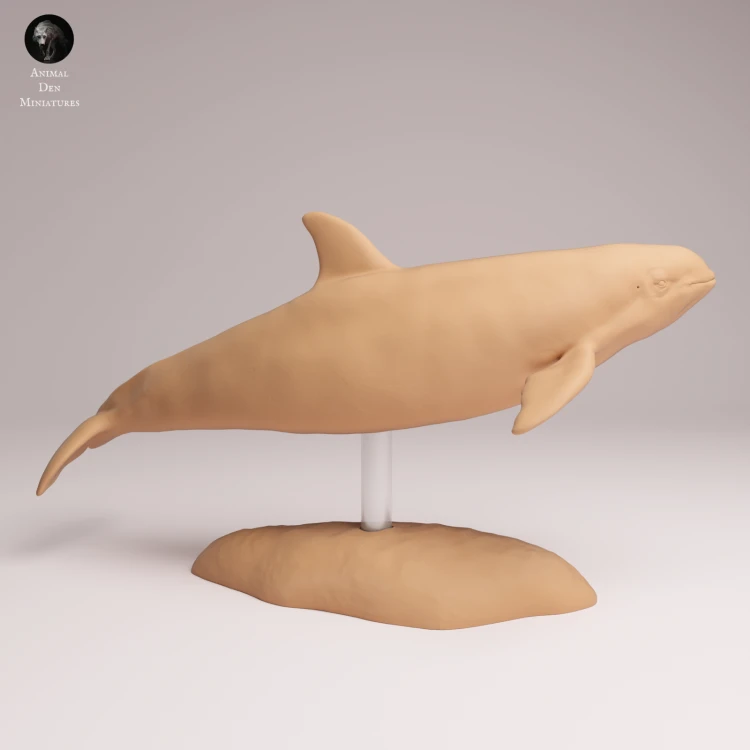 vaquita-1.png