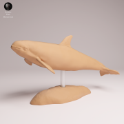 vaquita-2.png