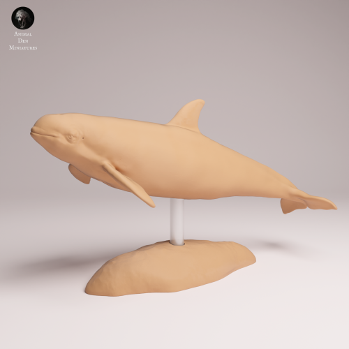 vaquita-2.png
