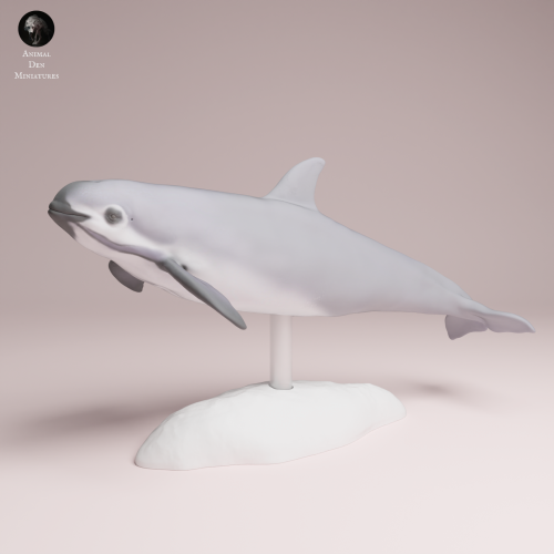 vaquita-3.png