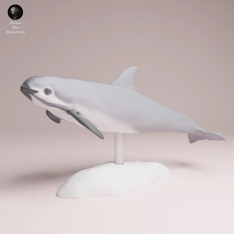 vaquita-3.png
