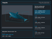 vaquita-4.png