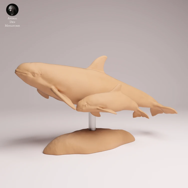 vaquita-with-calf-2.png