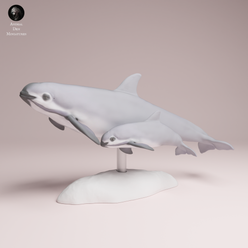 vaquita-with-calf-3.png