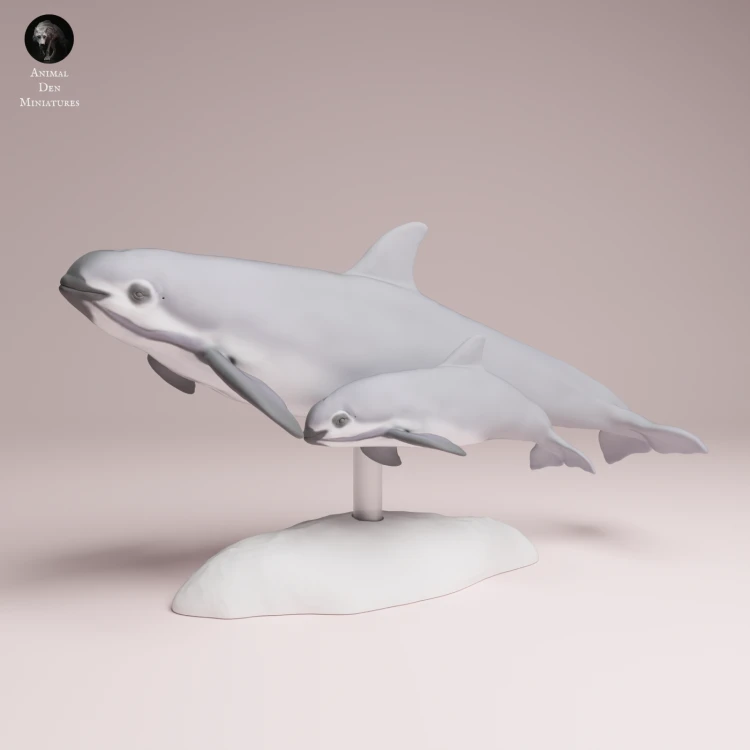 vaquita-with-calf-3.png