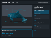 vaquita-with-calf-4.png