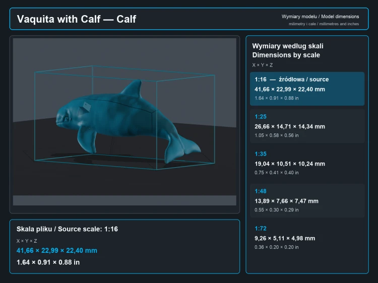 vaquita-with-calf-4.png