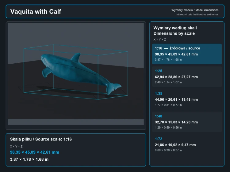 vaquita-with-calf-5.png