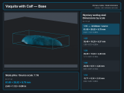 vaquita-with-calf-6.png