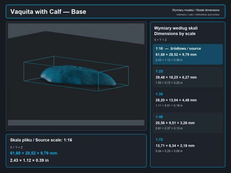vaquita-with-calf-6.png