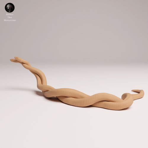 mating-black-mambas-1.png