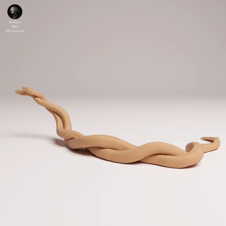 mating-black-mambas-1.png