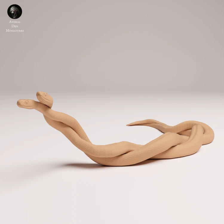 mating-black-mambas-3.png