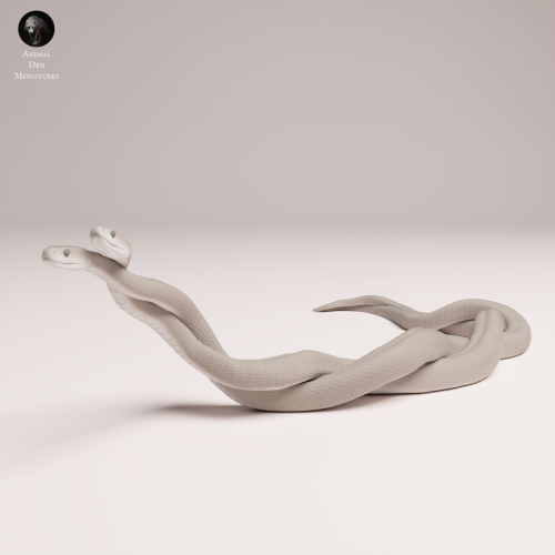 mating-black-mambas-4.png