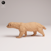 honey-badger-1.png