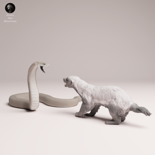 honey-badger-vs-black-mamba-4.png