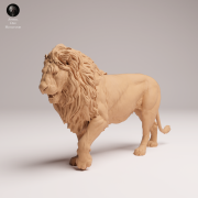 lion-3.png
