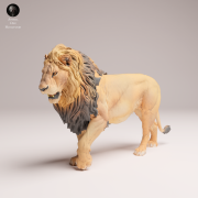 lion-4.png