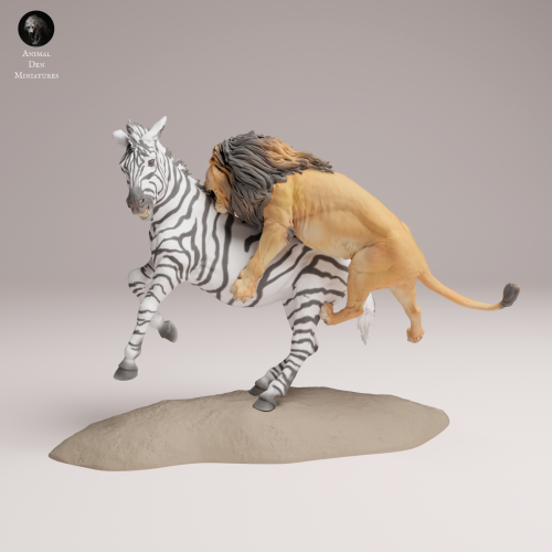 lion-hunting-zebra-4.png