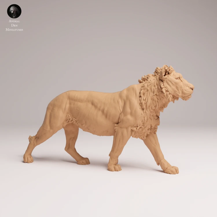 subadult-lion-1.png