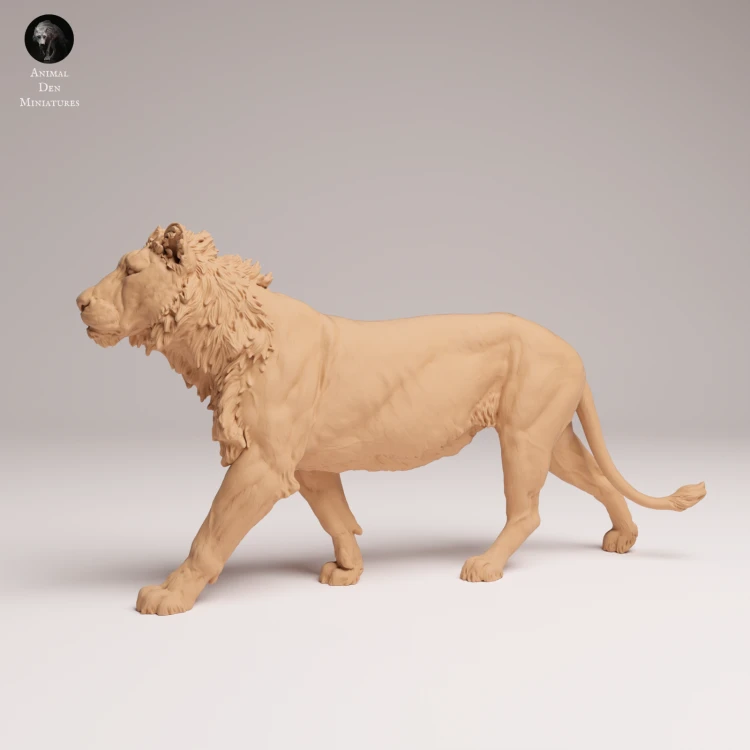 subadult-lion-2.png