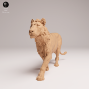 subadult-lion-3.png
