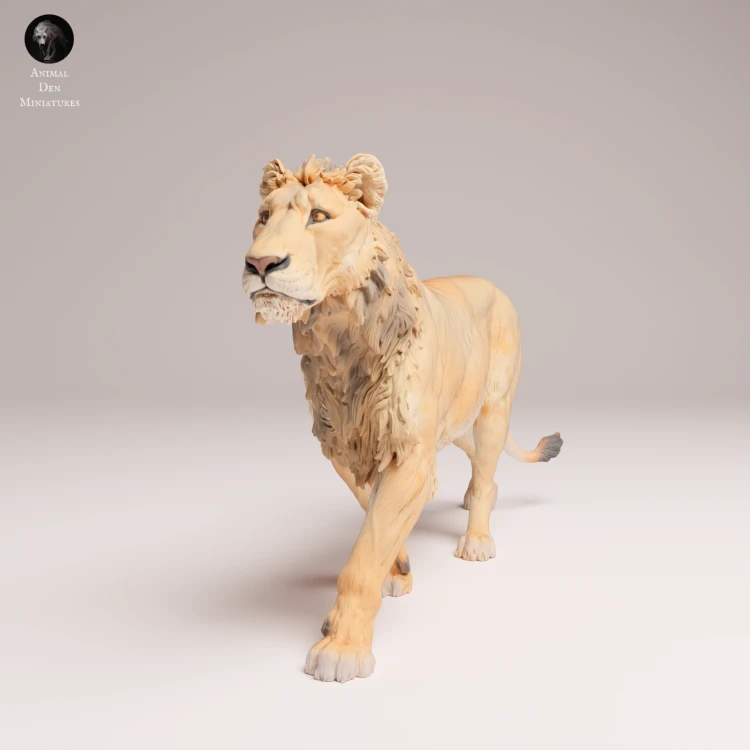 subadult-lion-4.png