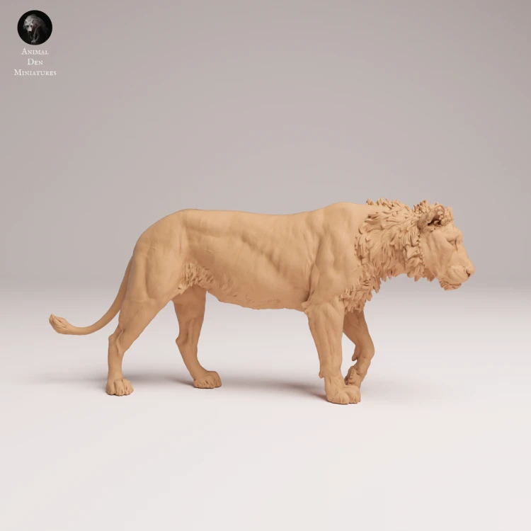 subadult-lion-2-2.png