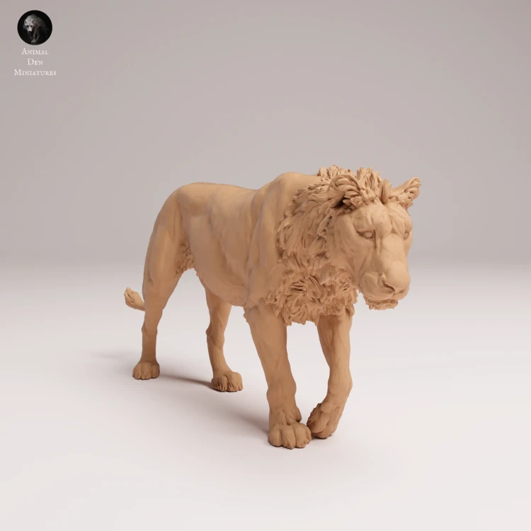 subadult-lion-2-3.png