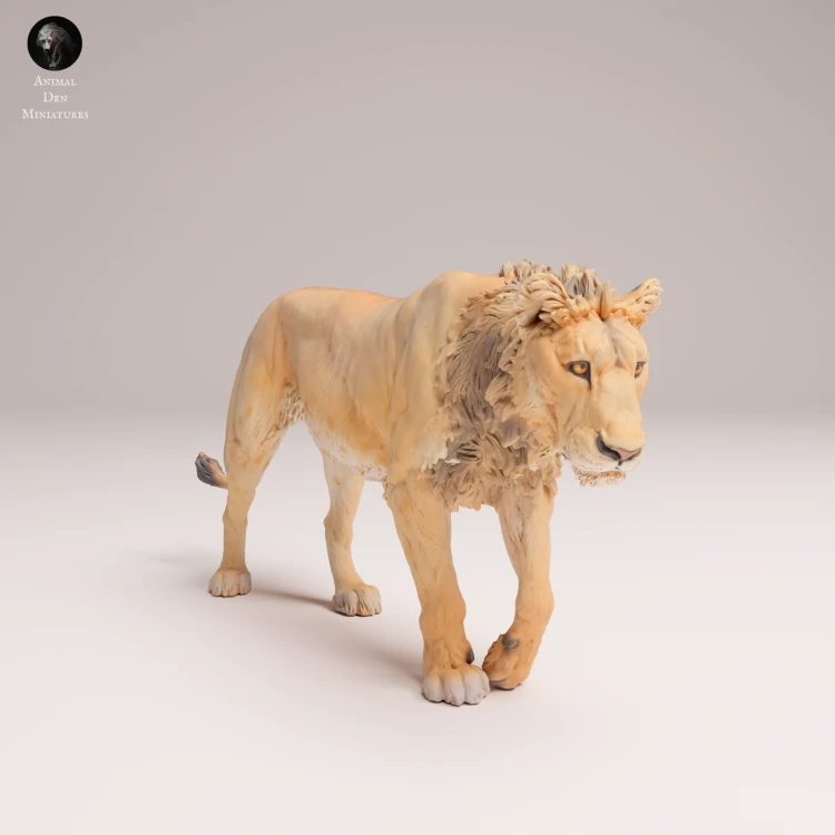 subadult-lion-2-4.png