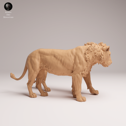 cuddling-subadult-lions-1.png