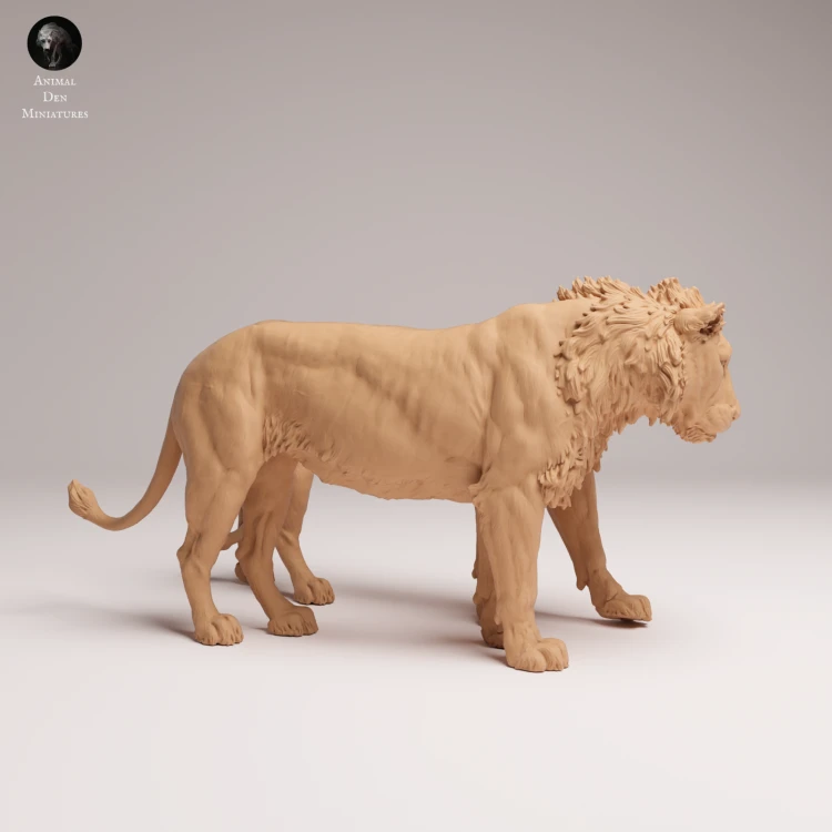 cuddling-subadult-lions-1.png
