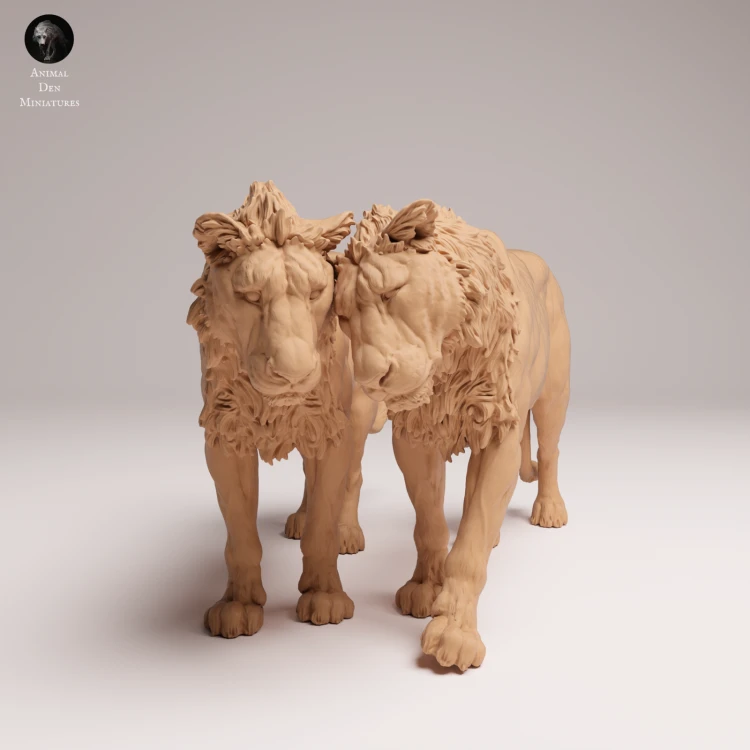 cuddling-subadult-lions-3.png