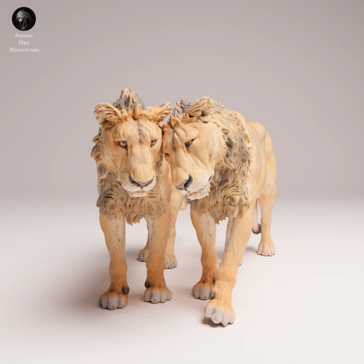 cuddling-subadult-lions-4.png