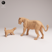 lioness-vs-honey-badger-1.png