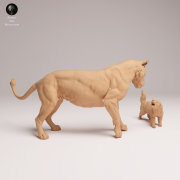 lioness-vs-honey-badger-2.png