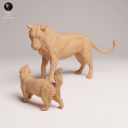lioness-vs-honey-badger-3.png