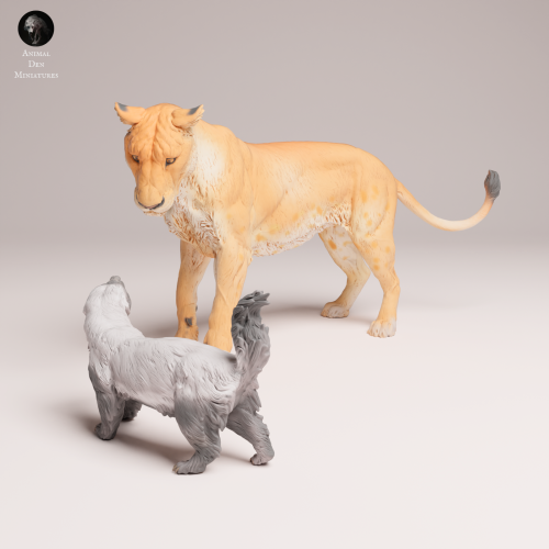 lioness-vs-honey-badger-4.png