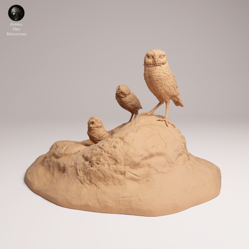 Burrowing Owls - 1.png