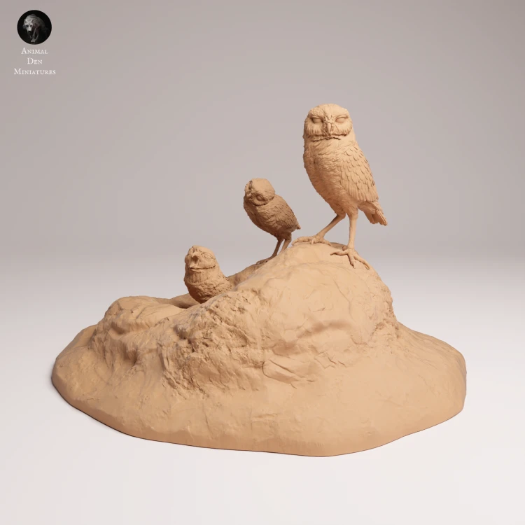 Burrowing Owls - 1.png