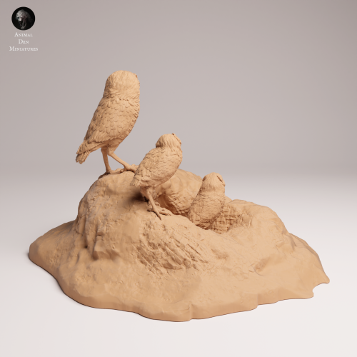 Burrowing Owls - 2.png