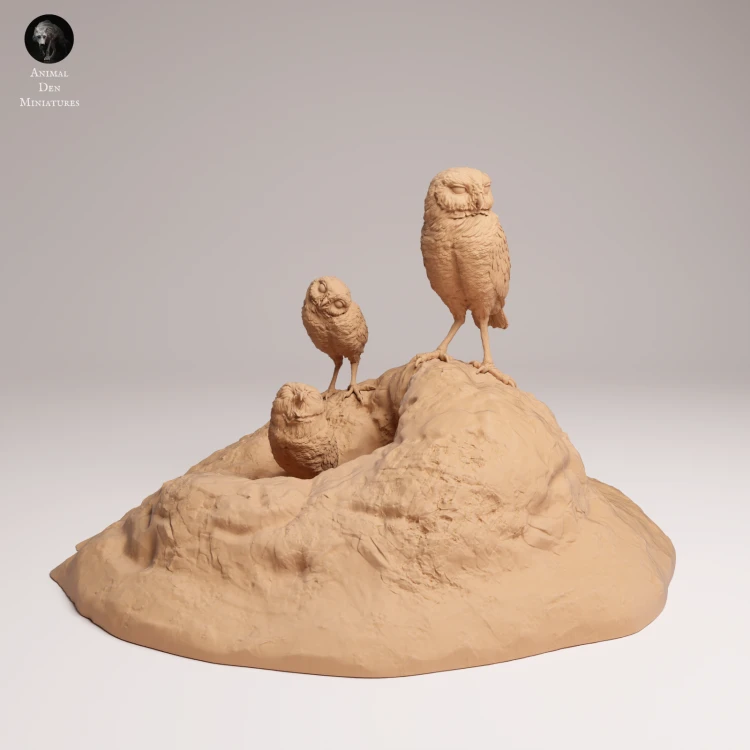 Burrowing Owls - 3.png