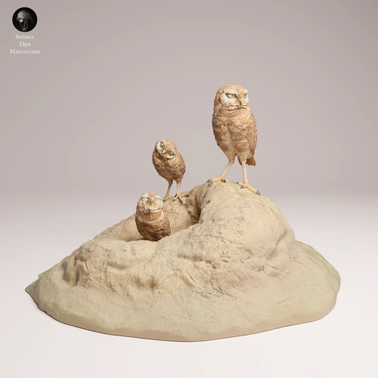 Burrowing Owls - 4.png