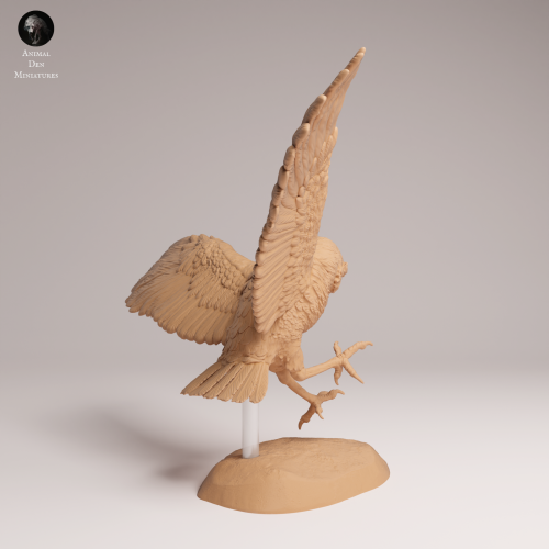 Burrowing Owl Fly - 1.png