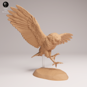 Burrowing Owl Fly - 3.png
