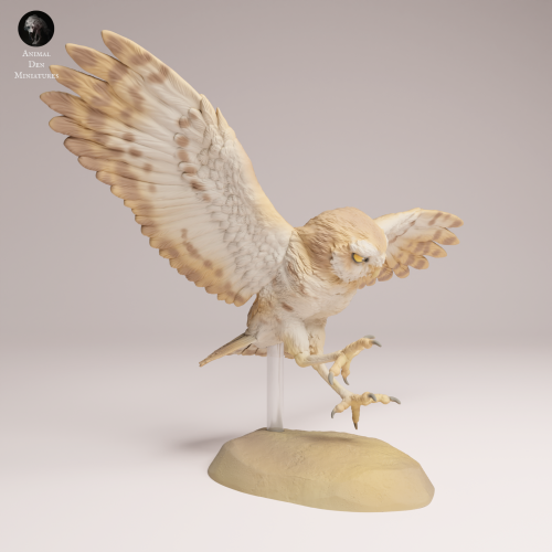 Burrowing Owl Fly - 4.png