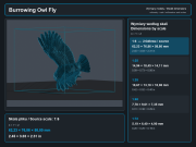 Burrowing Owl Fly - 5.png