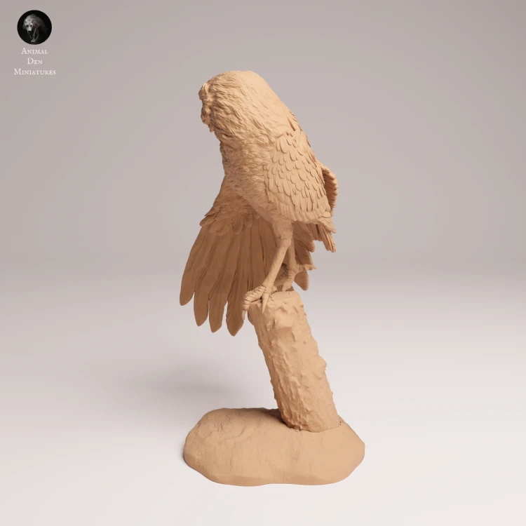 Burrowing Owl Stretch - 1.png